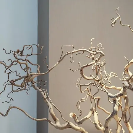 Maison R Boutique Bed & Breakfast 4*