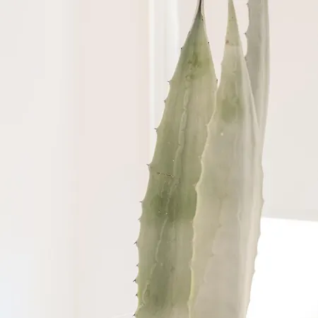 Maison R Boutique B&B 4*