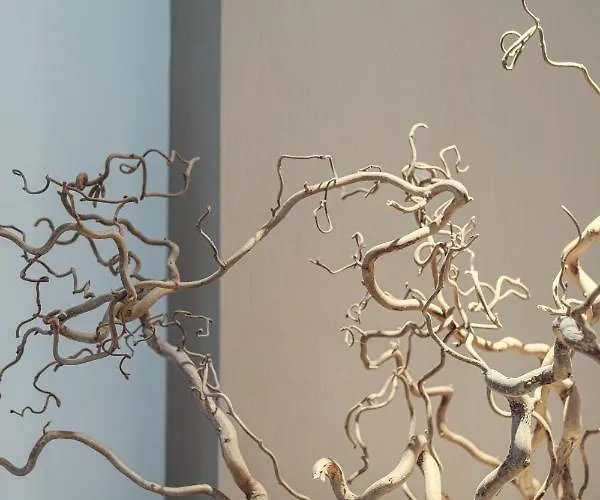 Maison R Boutique Couette-café 4*