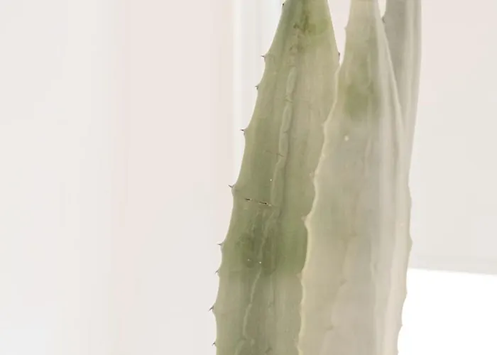 Maison R Boutique Frühstückspension 4*